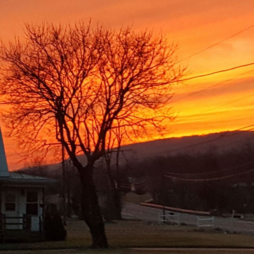 Meet your Posher, Deanna